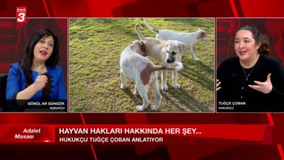 KANAL 3 YOUTUBE KANALINA ABONE OL https://www.youtube.com/kanal3tvyayin… Mobil Uygulamalar ➤