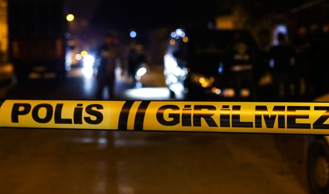 Şişli’de bir çöp konteynerinde parçalanmış halde bulunan kadın cesediyle ilgili