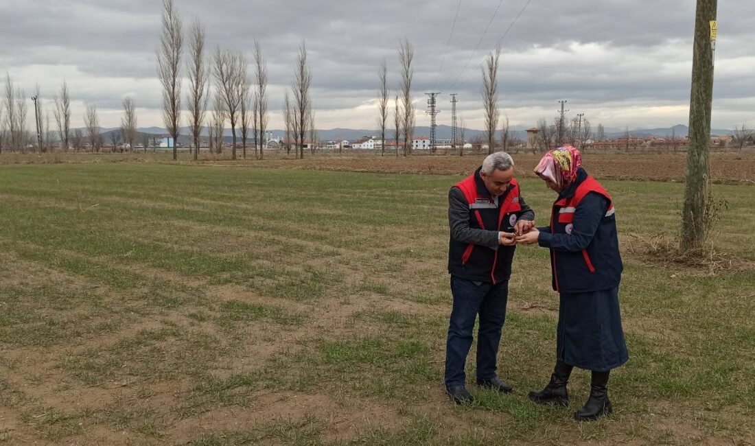 Afyonkarahisar İl Tarım ve Orman Müdürlüğü, hububat üretimini tehdit eden
