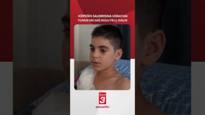 Samsun’da tasmasını koparan köpeğin saldırısına uğrayan Yunus’un sağ kolu felç