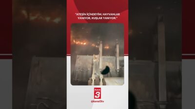 Diyarbakır’daki yangına kepçeyle müdahale eden vatandaş: “Ateşin içindeyim, Hayvanlar yanıyor,
