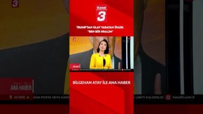 İngiltere’de 2024 yılında sosyal hizmetlerin korumasındaki çocukların önemli bir kısmı