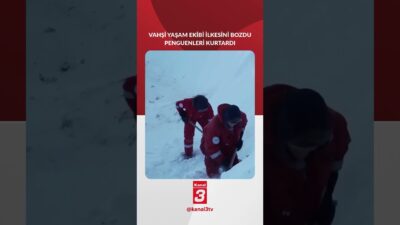 📶https://kanal3.com.tr/ Sosyal Medya Hesaplarımızı Takip Ederek Son Dakika Haberleri Alabilirsiniz;