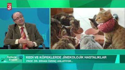 KANAL 3 YOUTUBE KANALINA ABONE OL https://www.youtube.com/kanal3tvyayin… Mobil Uygulamalar ➤