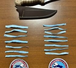 Aranan şahıslara yönelik çalışmalar, şok uygulamalar, kız öğrenci yurtları çevresi,