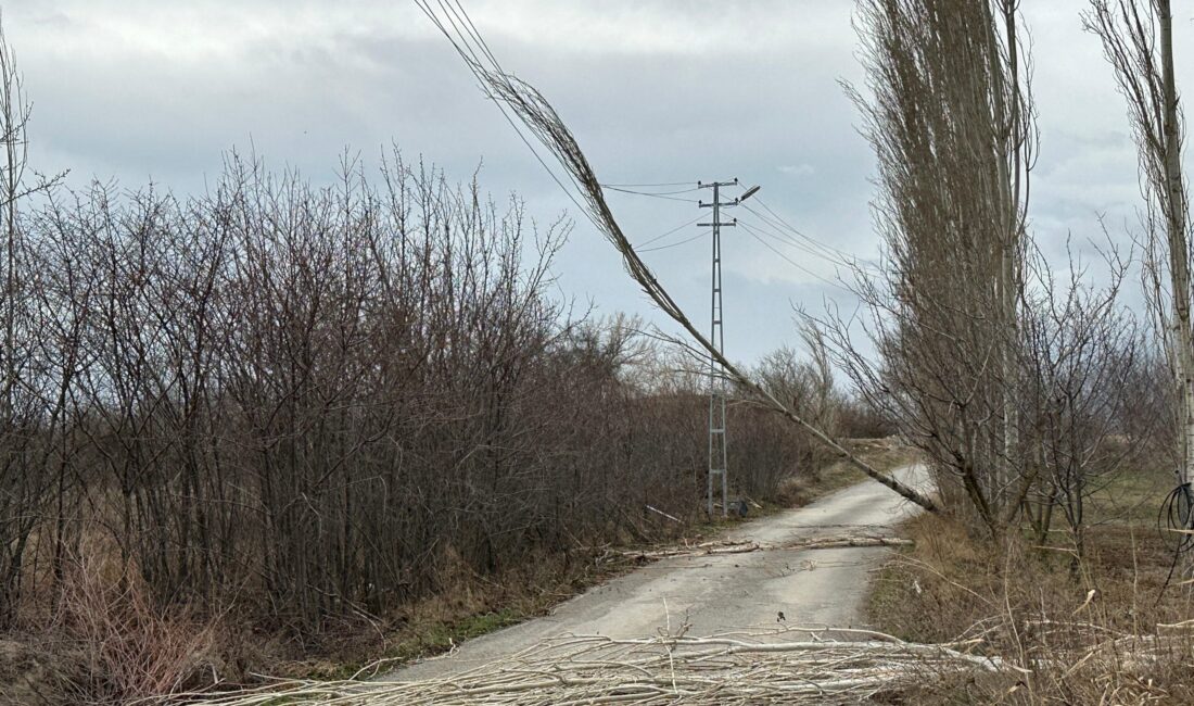 Kırılan ağaçlar ve devrilen tabelalar nedeniyle bazı yollar ulaşıma kapandı.
