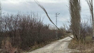 Kırılan ağaçlar ve devrilen tabelalar nedeniyle bazı yollar ulaşıma kapandı.