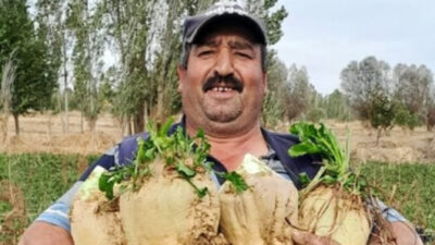 Bir yanıt yazın Yanıtı iptal et E-posta adresiniz yayınlanmayacak. Gerekli