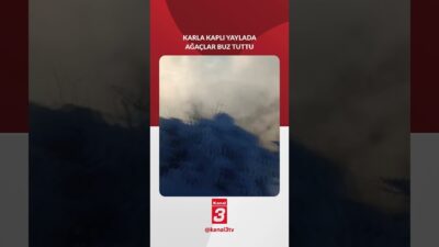 Bolu’nun Mudurnu ilçesinin yüksek kesimlerinde bulunan Susuz Yaylası’nda etkili olan