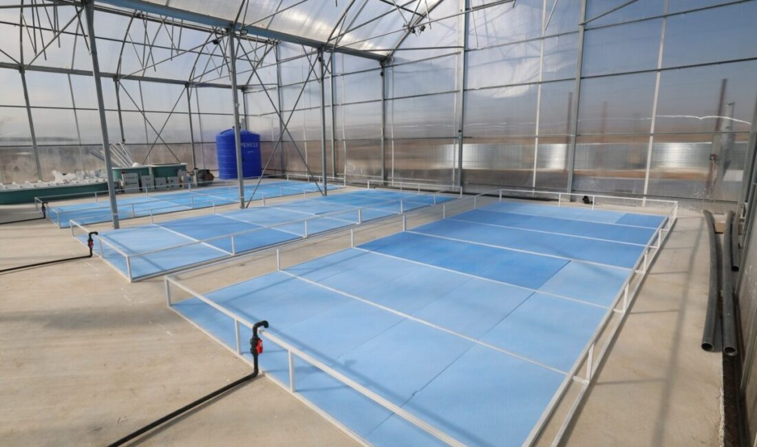 AFYONKARAHİSAR (AA) – Afyonkarahisar'da Vali Kübra Güran Yiğitbaşı'nın himayelerinde hayata