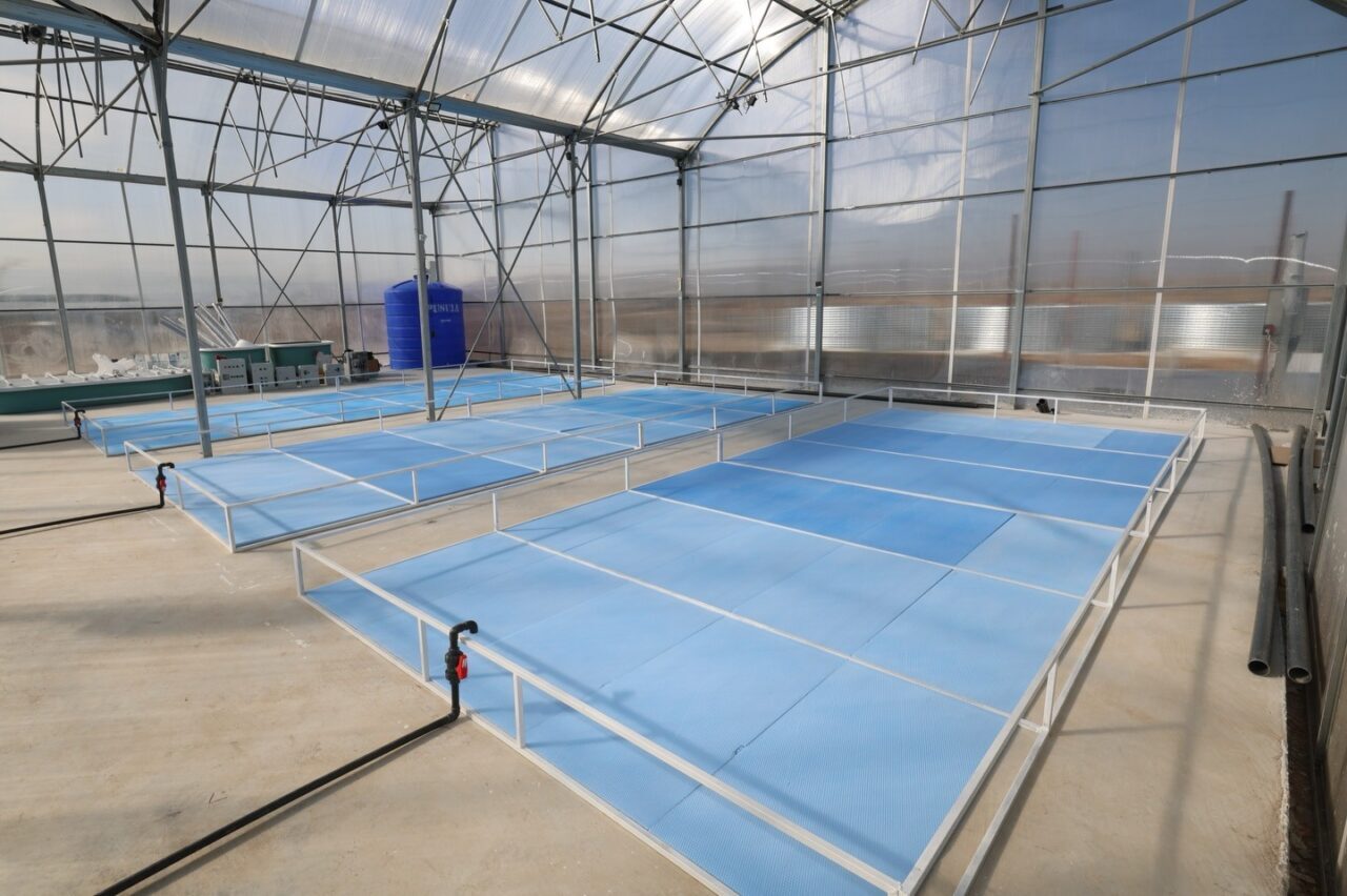 AFYONKARAHİSAR (AA) – Afyonkarahisar'da Vali Kübra Güran Yiğitbaşı'nın himayelerinde hayata