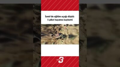 İzmir’in Torbalı ilçesinde eğitim amaçlı havalanan bir eğitim uçağı mısır