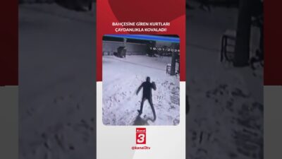 Nevşehir’de bir kişi bahçesine giren kurtları çaydalıkla kovaladı! 📶https://kanal3.com.tr/ Sosyal