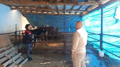 Afyonkarahisar’da besicilik yapan işletmelere yönelik Çiftlik Muhasebe Veri Ağı (ÇMVA)