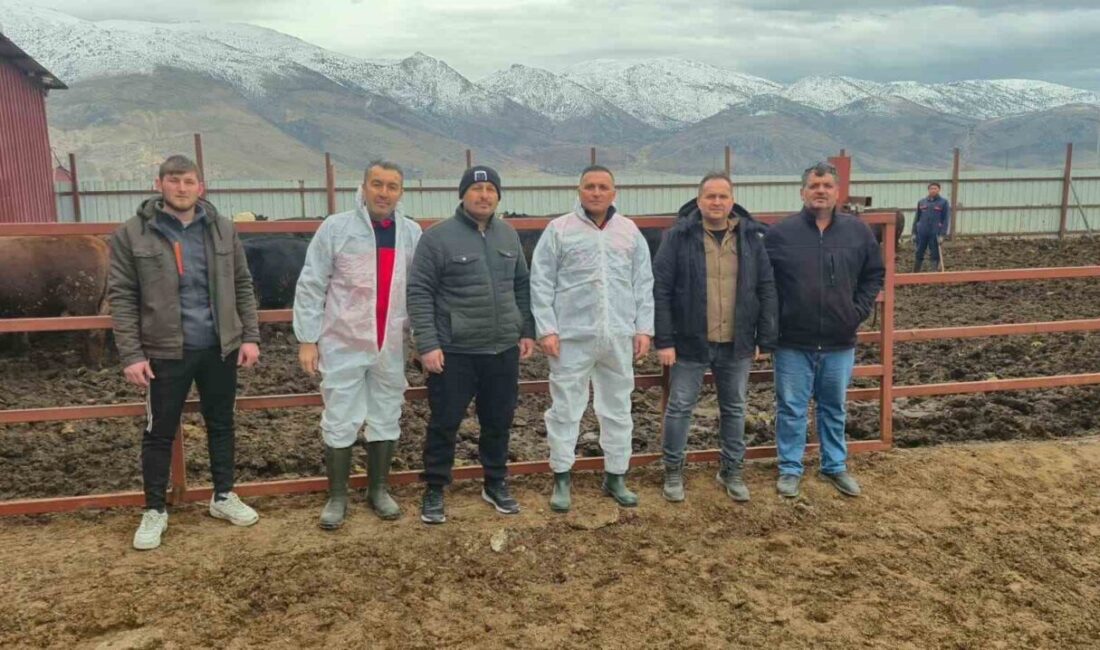 Afyonkarahisar’ın Dinar ilçesinde ithal hayvan besiciliği yapılan işletmelere yönelik denetim