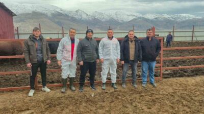 Afyonkarahisar’ın Dinar ilçesinde ithal hayvan besiciliği yapılan işletmelere yönelik denetim