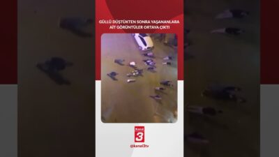 📶https://kanal3.com.tr/ Sosyal Medya Hesaplarımızı Takip Ederek Son Dakika Haberleri Alabilirsiniz;