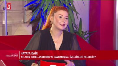 KANAL 3 YOUTUBE KANALINA ABONE OL https://www.youtube.com/kanal3tvyayin… Mobil Uygulamalar ➤