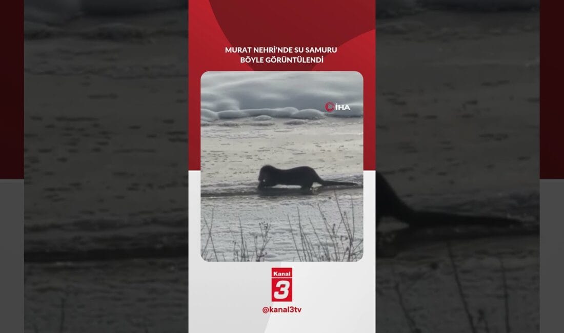 Meteoroloji Genel Müdürlüğü’nün son tahminlerine göre hafta boyunca yurdun büyük