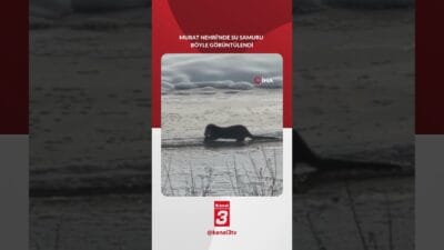 Meteoroloji Genel Müdürlüğü’nün son tahminlerine göre hafta boyunca yurdun büyük