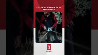 Tunceli’nin Çemişgezek ilçesinde kayalıklarda mahsur kalan bir kişi, AFAD ekipleri