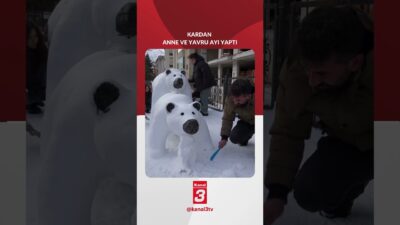 Gümüşhane’de etkili olan kar yağışı, renkli görüntülere sahne oldu. Karı