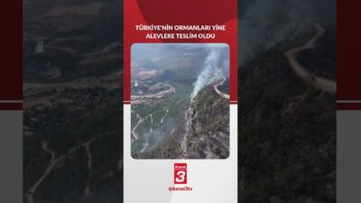 Karabük’te başlayan orman yangını rüzgarın etkisiyle büyüdü, Bin Köy tahliye