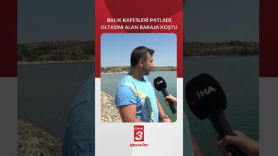 Kastamonu’nun Devrekani ilçesindeki Kulaksızlar Barajı’ndaki somon çiftliğinin kafesinin yırtılması neticesinde