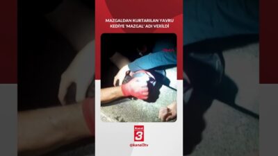 📶https://kanal3.com.tr/ Sosyal Medya Hesaplarımızı Takip Ederek Son Dakika Haberleri Alabilirsiniz;