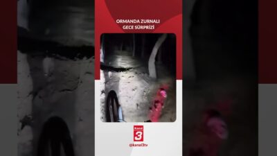Beykoz ormanında gece bisiklet süren bir genç, ormanlıkta zurna çalarak