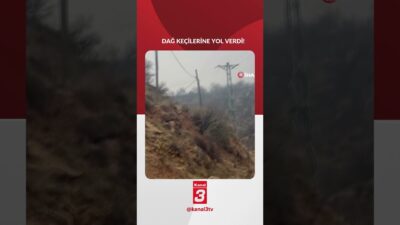 Batman’ın Hasankeyf ilçesinde yaban hayatına yönelik örnek bir duyarlılık sergilendi.