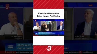 Yılmaz Sezer ve Ali Dursun Koç, kredi kartlarının ekonomideki rolünü,
