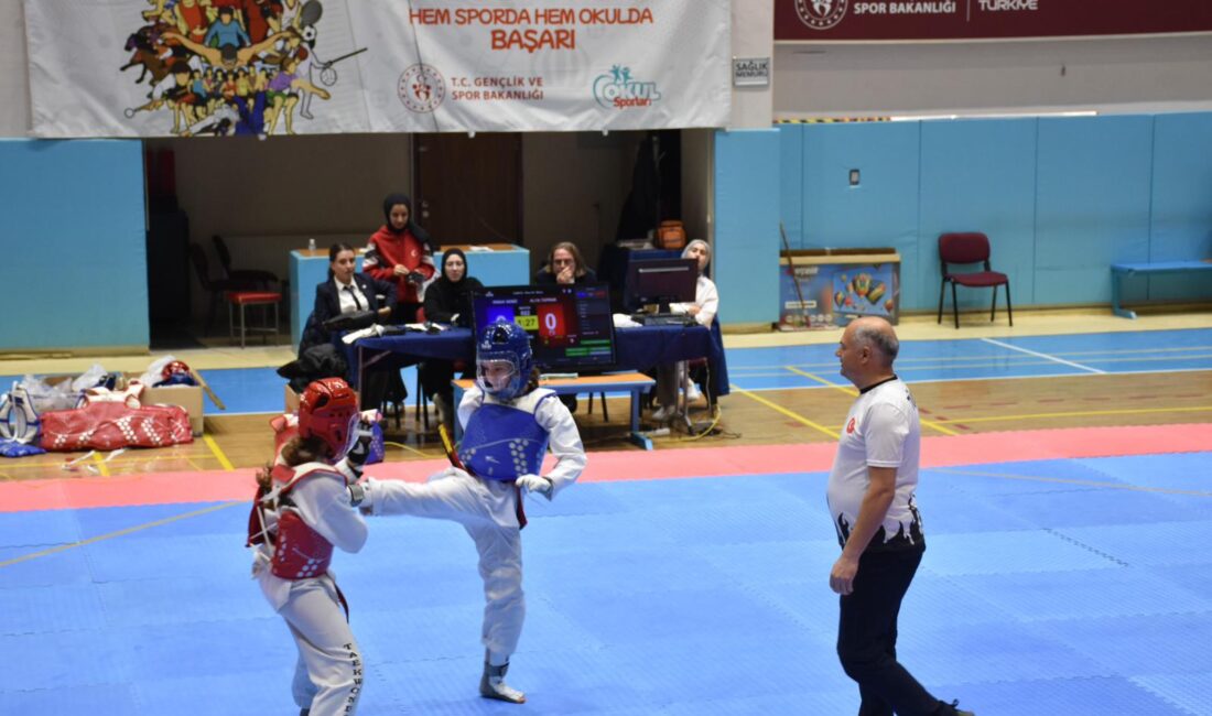 23-30 Ocak 2026 tarihleri arasında Alanya’da düzenlenecek olan Taekwondo Batı