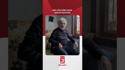 Erzincan’ın Kemaliye ilçesinde etkili olan sert kış koşulları, yaban hayatını