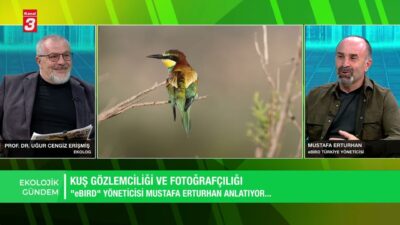 KANAL 3 YOUTUBE KANALINA ABONE OL https://www.youtube.com/kanal3tvyayin… Mobil Uygulamalar ➤