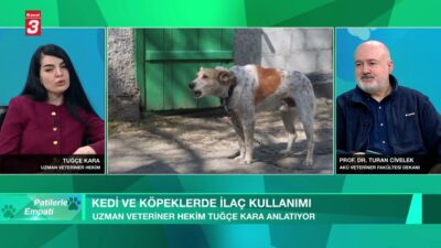 KANAL 3 YOUTUBE KANALINA ABONE OL https://www.youtube.com/kanal3tvyayin… Mobil Uygulamalar ➤