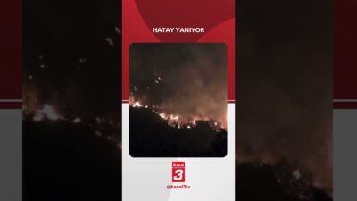 Hatay’ın Yayladağı ilçesinde bilinmeyen bir sebeple orman yangını çıktı. Alevlere