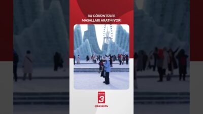 Çin’in Harbin kentinde bu yıl 42’ncisi düzenlenen Harbin Uluslararası Buz