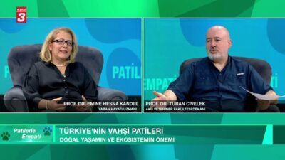 KANAL 3 YOUTUBE KANALINA ABONE OL https://www.youtube.com/kanal3tvyayin… Mobil Uygulamalar ➤
