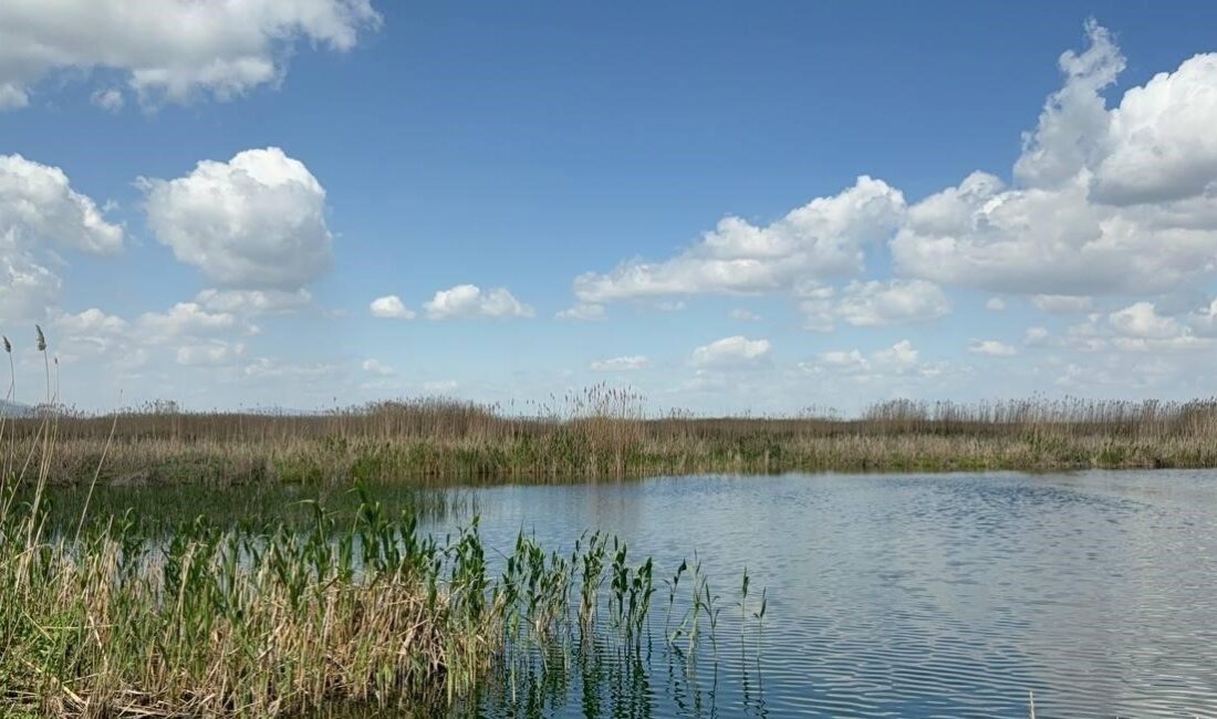 Afyonkarahisar'da son yaşanan yağışlar kuruma tehlikesinin baş gösterdiği Eber Gölü'ne