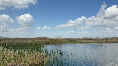 Afyonkarahisar'da son yaşanan yağışlar kuruma tehlikesinin baş gösterdiği Eber Gölü'ne