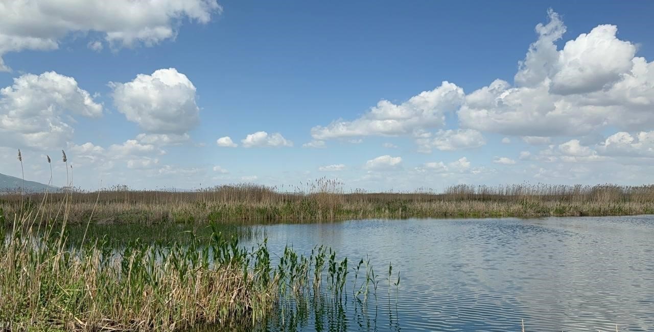 Afyonkarahisar'da son yaşanan yağışlar kuruma tehlikesinin baş gösterdiği Eber Gölü'ne