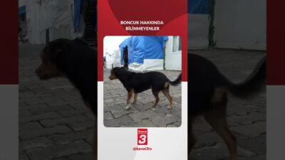 Kahramanmaraş merkezli 6 Şubat depremlerinin ardından Malatya’da kurulan konteyner kentte