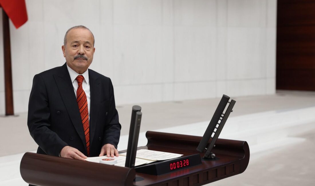 MHP Afyonkarahisar Milletvekili Mehmet Taytak, Türkiye Büyük Millet Meclisi Genel