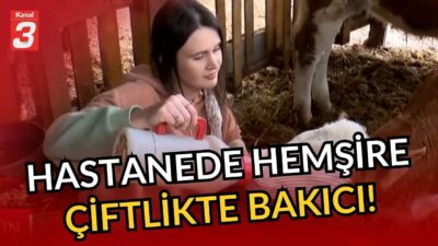 Gündüz insanlar için, gece hayvanlar için koşturuyor! | Hastanede hemşire,