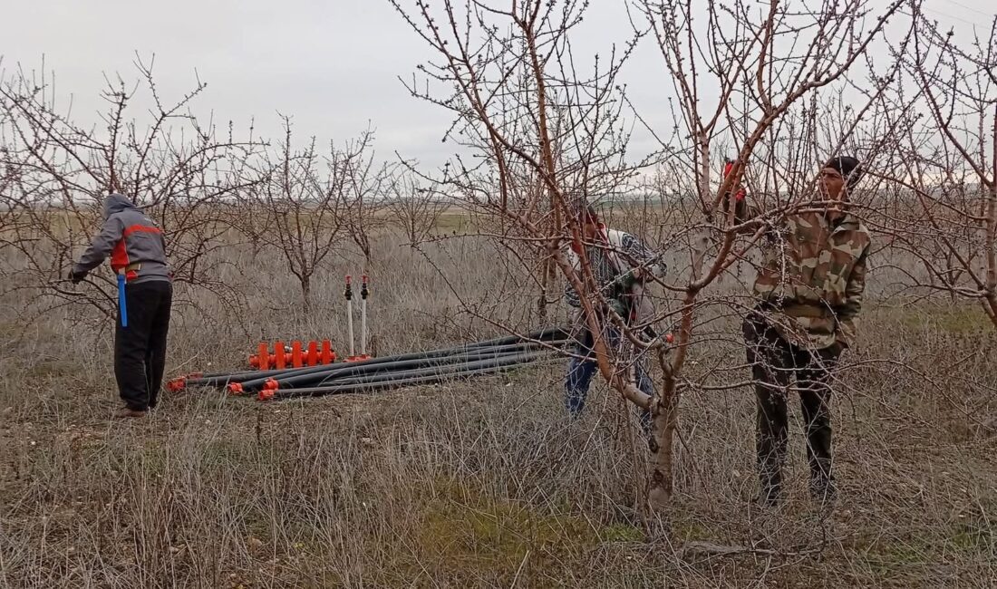 Kışın dondurucu etkisinin yavaş yavaş azalması ve güneşin yüzünü daha