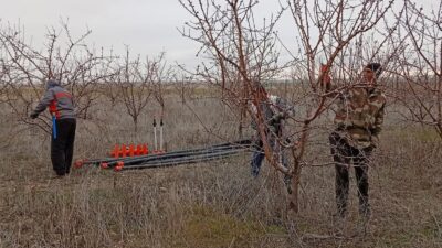 Kışın dondurucu etkisinin yavaş yavaş azalması ve güneşin yüzünü daha