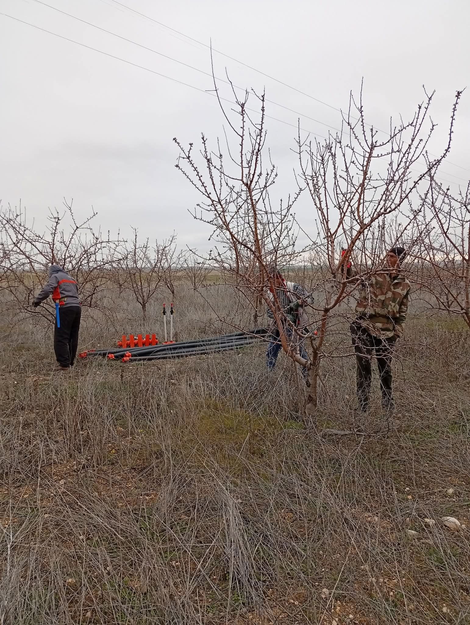 Kışın dondurucu etkisinin yavaş yavaş azalması ve güneşin yüzünü daha