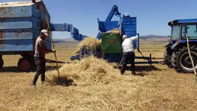 World Population Review verilerine dayanan yeni bir rapor, ülkelerin küresel