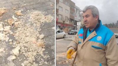 Şanlıurfa’da görev yapan temizlik personeli Murat Altun, sokak hayvanlarını beslemek